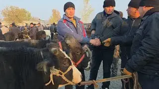 MARXAMAT MOL BOZORI YOSH HÕNAJINLAR NOVOSLAR NARXLARI 