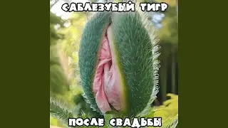 Айрнмейден