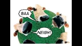 Bucky Howdy - Baa, Neigh, Cock-a-Doodle-Doo (2005) (AS SEEN ON NOGGIN/NICK JR)