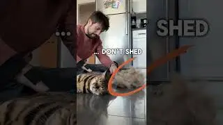 This was not supposed to happen…