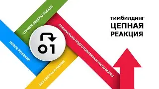 Цепная реакция. Тимбилдинг. Vityaz Group