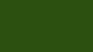 30 Minutes Turtle Green #2A480E Screen | Background | Screensaver | Backdrop | Meditation | 4K