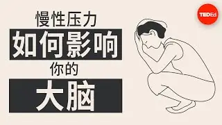 压力如何影响你的大脑 - Madhumita Murgia