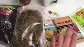 Купить Хищные растения Комбо набор №1