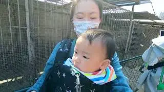 春日踏青逛逛抚顺动物园