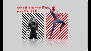 Animated Image Hover Effects using Html & CSS | Awesome Looking CSS Hover Effects
