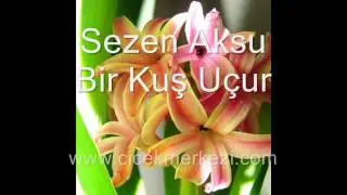 Sezen Aksu - Bir Kuş Uçur - http://www.cicekmerkezi.com