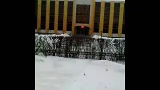 Факундо Арана