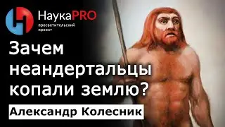 Орудия неандертальцев для копания земли с территории Ростовской области – Александр Колесник