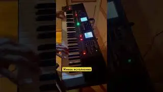 Живое исполнение #rolandea7 #keyboard #korgpa5x #ensoniqts10 #korg