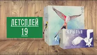 ЛЕТСПЛЕЙ 19: НАСТОЛЬНАЯ ИГРА: 