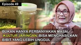 Plant Improvement and Propagation with Tissue Culture
