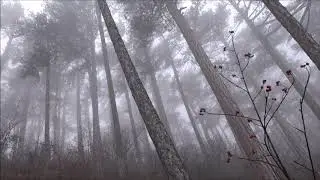 ~ТРОПАМИ  ГОРНОГО  КРЫМА ~ Боткинская тропа~2020~