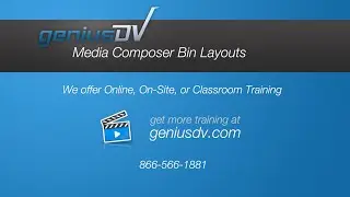 Bin Layouts with Avid Media Composer