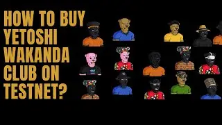 How to Buy NFTs Yetoshi Wakanda Club on Testnet - Step-by-Step