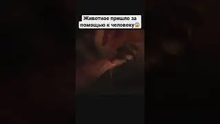 10 апреля 2023 г.