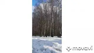 зимний релакс.