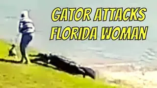 Alligator Attacks Florida Woman