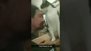 Head kissies on tap