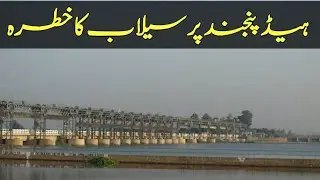 Head punjnad Alipur Latest News Update | 2020 Amazing views of head punjnad|Head panjnad Bawahwalpur