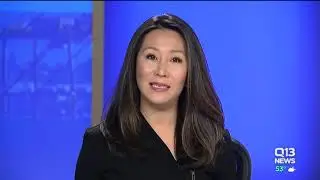 Crime, public safety concerns fueling voters in Seattle city council election