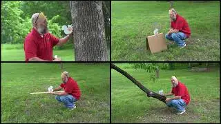 GAMO Squirrel Target