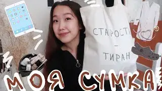 Что в сумке студента? (немного абсурдно, но правдиво)