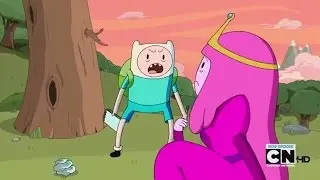 Finn - 