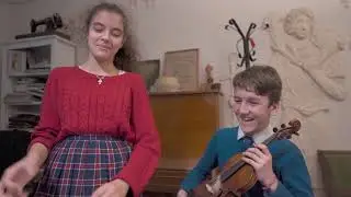 Шотландская вислоухая