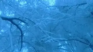 Зимняя Сказка(26.12.2021)