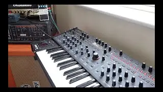Sequential Pro 3 & Boss DD8 Digital Delay