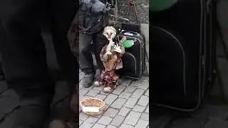 #Прага