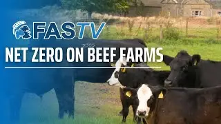 FAS TV Series 4 Ep 9 - Net Zero on Beef Farms