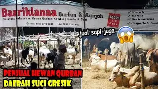 Penjual Hewan Qurban Daerah Suci Gresik