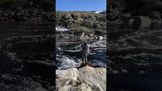 Забросы нахлыстом на Кольском #нахлыст #fishing #рыбалка #2024 #топ #flyfishing