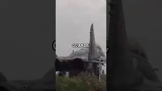 Russian Fighter Jet Pilot Escapes to USA