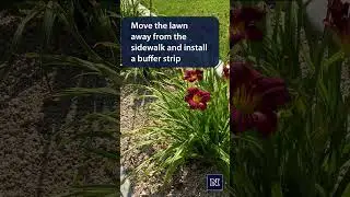 Don't Water the Sidewalk - Environmentally Friendly Yard Tips #gardening