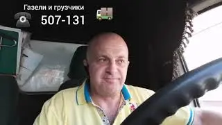 В Томске самые голодные голуби