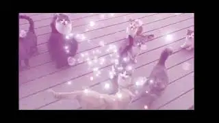 😍Какая милота😍