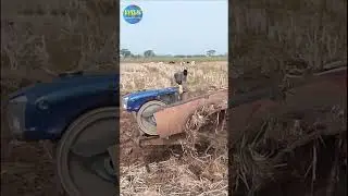 Traktor Quick G1000 Boxer nyingkal sawah kering kurang air 