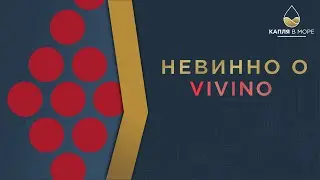 Vivino! Вивино? Что за чудо и как с ним работать?