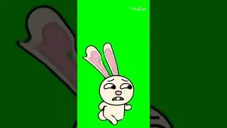 Bun bun running green screen