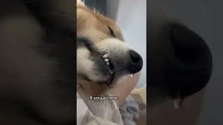 ИДЕАЛЬНЫЕ ОТНОШЕНИЯ 