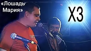 Костя и ХЗ 