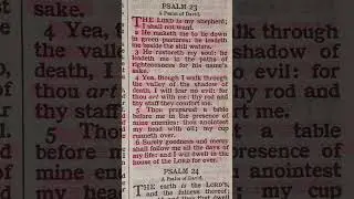PROMISES FROM GOD TO YOU ❤️ PSALM 23, KJV