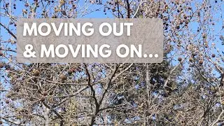 HOME | a reflection on moving and moving on | poetry reading | HANNAH SCHOENBEIN
