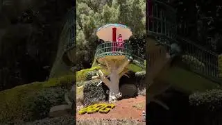 Ooty ❤️❤️❤️