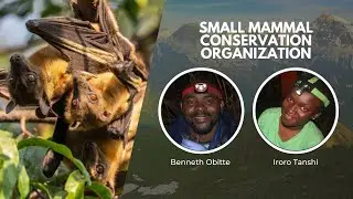 Safeguarding Bats | Wildlife Conservation Expo