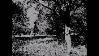 demo #5 merveist #blackmetal #metal #raw #music #demo