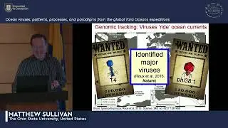 Matthew Sullivan - Ocean viruses